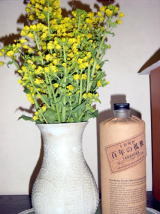 DSC00012.JPG